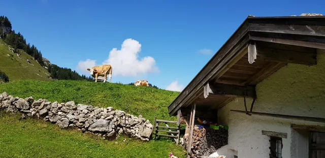 Die Almhütte im Kleintiefental