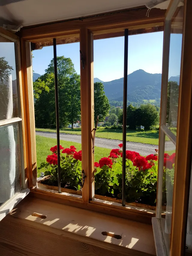 Blick aus dem Fenster über die Geranien auf die Berge