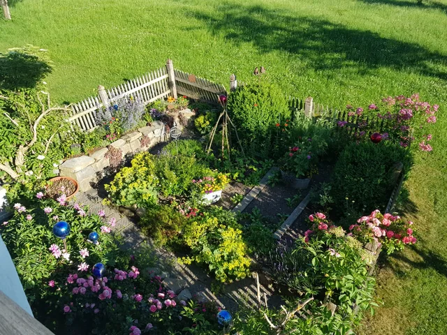 Der Bauerngarten in voller Blüte
