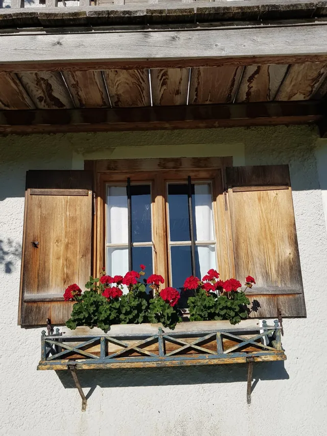 Fenster mit Blumenkasten und Läden